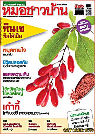 หมอชาวบ้าน (ฉบับที่ 486 : ตุลาคม 2562)