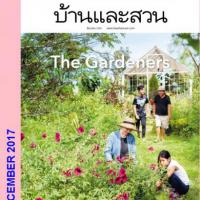 บ้านและสวน (ปีที่42 ,ฉบับที่ 496 : ธันวาคม 2560)