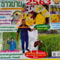 เทคโนโลยีชาวบ้าน (ปีที่ 52 : ฉบับที่ 710 : มกราคม 2563)