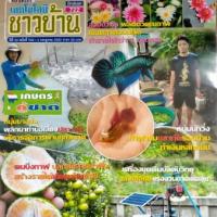 เทคโนโลยีชาวบ้าน (ปีที่ 32 ฉบับที่ 722 : กรกฎาคม 2563)