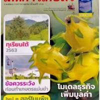 เคหการเกษตร (ปีที่ 44 ฉบับที่ 8 : สิงหาคม 2563)