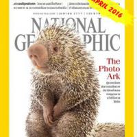 ์National Geographic (ปีที่ 15 , ฉบับที่ 177 เมษายน 2559)