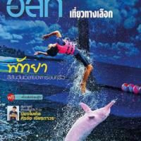 อนุสาร อสท. (ปีที่ 54 : ฉบับที่ 12)