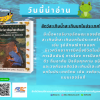 สัตว์สะเทินน้ำสะเทินบกในประเทศไทย